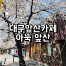 앞산 맛둘레길 벽천 | 대구앞산카페 벚꽃 뷰 맛집 아눅앞산