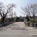 입암지구대 Daum카페