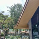 솔숲어린이집 | 용인 고기리 스타벅스 숲뷰 용인신상대형카페 후기