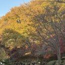 경희대 동탄중앙태권도장 | 전국 태권도학과 입시 전문 경희대안화태권도장, 주말 경희대학교 훈련 [수원태권도입시][용인태권도...