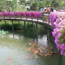 시민공원 남문 이미지