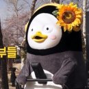 해담맛집코다리마을 이미지