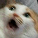 위더스애드
