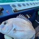 고흥-6호 이미지