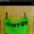 반도콜라택 이미지