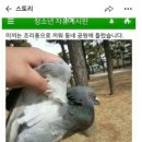 비둘기공원 화장실 이미지
