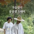 지성스테이 이미지