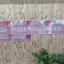 한림좀녀삼춘 이미지