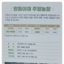 별빛다육농원
