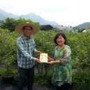 김영희농장 이미지