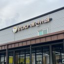 우다다 펫택시 이미지