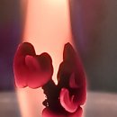 쉽게 읽는 주역 해석 | [부산 서면철학관 주역육효철학관] 이직과 이사 사이, 마음이 복잡할 때 든든했던 상담 후기