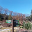 수목원커피,매점