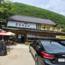 태백막국수 | 내돈내산 태백 촌집막국수 방문후기