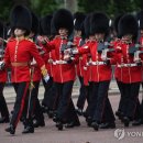 英왕실 근위병 상징 흑곰 털모자 논란…"인조로 바꿔야" 이미지