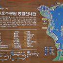 세종호수공원 산책로 이미지
