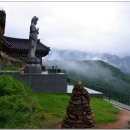 학현목장 이미지