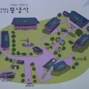 온花 | 〔수원시〕 능소화(凌宵花)(1) - 봉녕사(奉寧寺)
