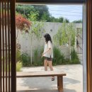 스테이구월 | 전주 독채 숙소 독립 서점 같은 스테이 구월에서 보낸 하루