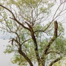 씨유청주우암공원점 | 대청댐. 오백리길.우암사적공원