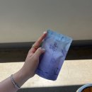 예신다이어트제주점 | 제주 웨딩스냅 추천 ｜ 프롤로그제주 계약한 이유 ｜제주 스냅 내돈내산 계약 후기