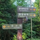 유달산 | [목포 가볼만한 곳] 유달산 정상에서 만난 아름다운 다도해 풍경/목포 유달산 등반 후기