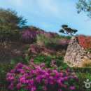 '완주 화산꽃동산' 이미지