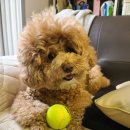 제이의집 이미지