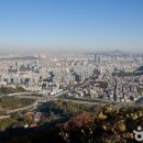 소나무카페(소나무관광농원) 이미지