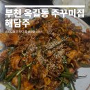 소사분식 | 부천 소사구 옥길동 주꾸미집 해담주 다신 안 갈 내돈내산 후기