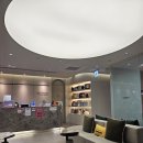 스킨영의원 이미지