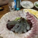 달구벌횟집 이미지