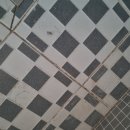 세븐일레븐 영통9단지점 | 영통줄눈시공 벽적골주공9단지 욕실 곰팡이 락스청소로 안돼요.