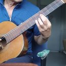 감사 번외, 조용필님께 노벨상을 이미지