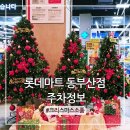 롯데마트 동부산점 | 롯데마트 동부산점 엘리베이터 에스컬레이터 가까운 주차구역과 크리스마스 소품 쇼핑 정보