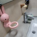 보미리즌빌 화장실 이미지