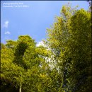 소소한향기 이미지