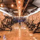 몰리짐 장기점 이미지