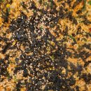 대창파출소 앞 이미지