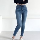 토르캣 이미지