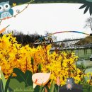 무지개공원2 이미지