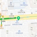 강남 요미독앤캣 강아지 분양 고양이 분양 이미지