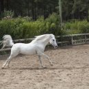 파주권투체육관 이미지