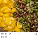 스톡홀름 샐러드 계명대점 이미지