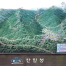 삽교주유소 이미지