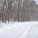 네바퀴타이어 이미지