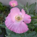 깍쟁이미용실 이미지