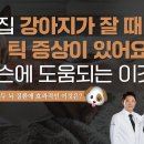 우리집 강아지가 잠잘때 틱증상이 있어요, 강아지 파킨슨과 틱 증상에 도움되는 이것은? 이미지