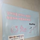 부산애견팡팡 | 사하구 애견카페 루프탑이 있는 100평 실내운동장 다대포 멈무아 방문리뷰