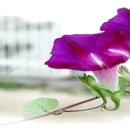 풍암초교 이미지